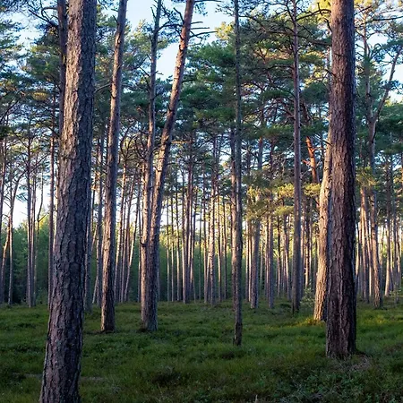 Holiday home Seaside Getaway