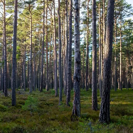 Seaside Getaway * Rooslepa