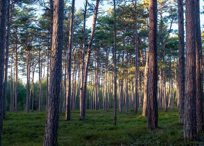 Holiday home Seaside Getaway