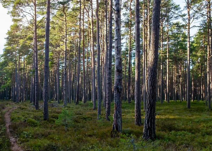 Seaside Getaway * Rooslepa